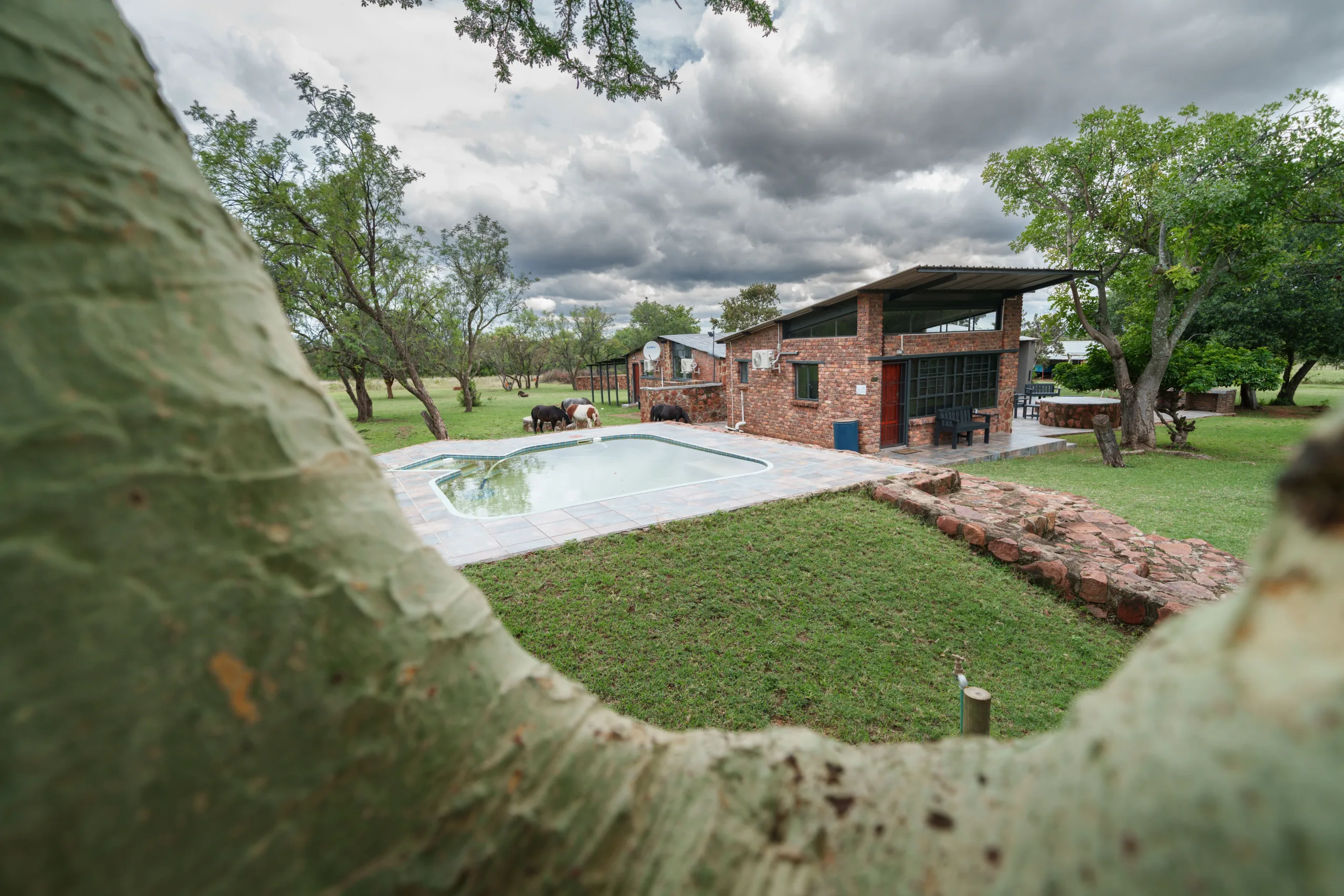 Chalet pool area