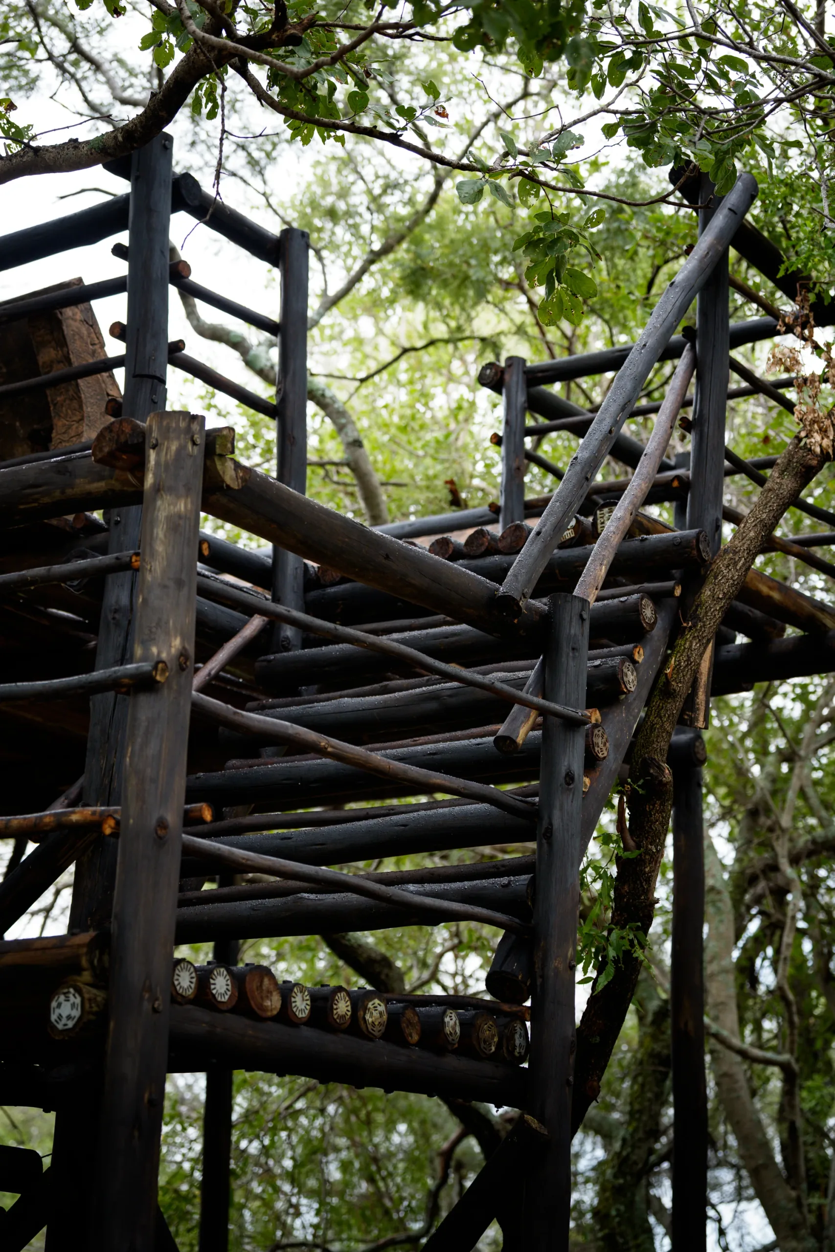 Lookout point overlooking the bush at Impala Game Ranch